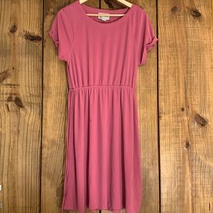 Anthropologie Waisted Cupro Dress
